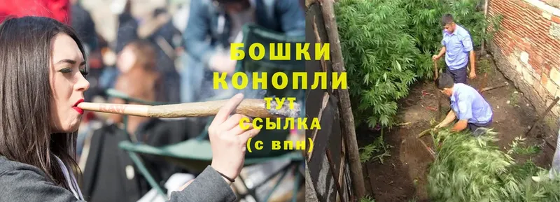 Канабис Ganja  Томари 